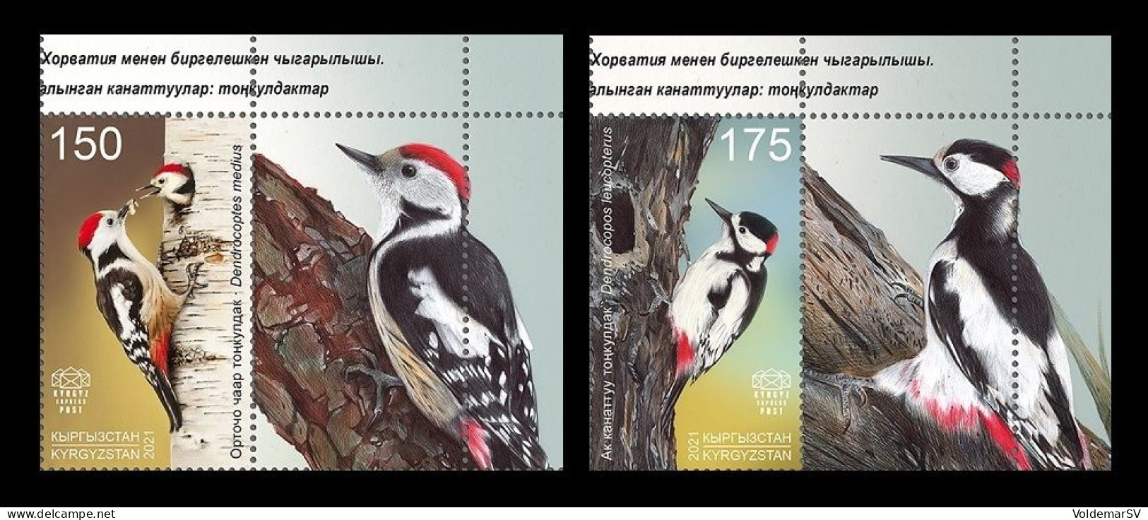 Kyrgyzstan (KEP) 2021 Mih. 177/78 Fauna. Birds. Woodpeckers (with Labels) (joint Issue Kyrgyzstan-Croatia) MNH ** - Kirghizstan