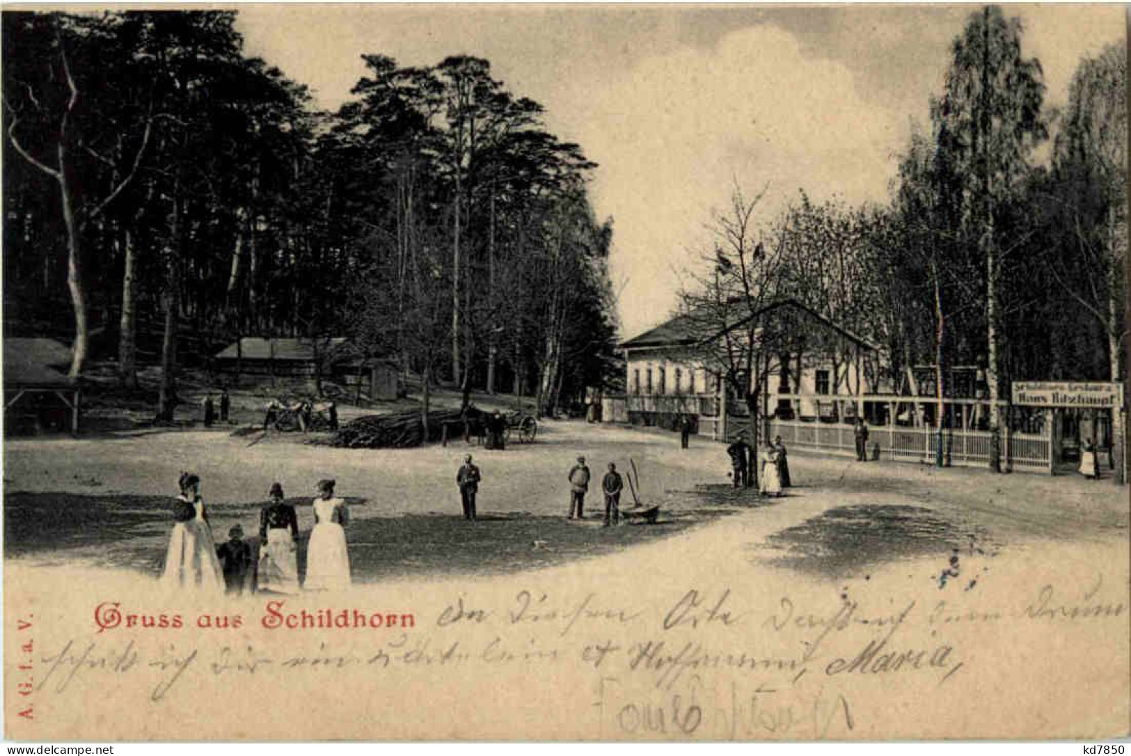 Gruss Aus Schildhorn - Grunewald - Grunewald