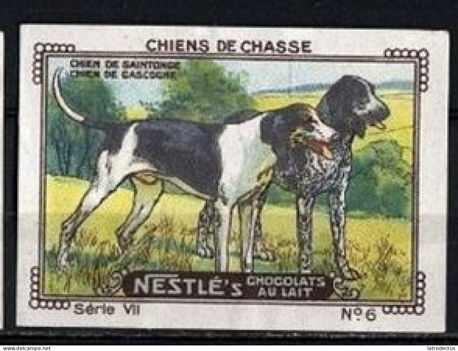 Nestlé (1920's) - VII - Chiens De Chasse, Hunting Dogs - 6 - Chien De Saintonge, Chien De Gascogne - Nestlé