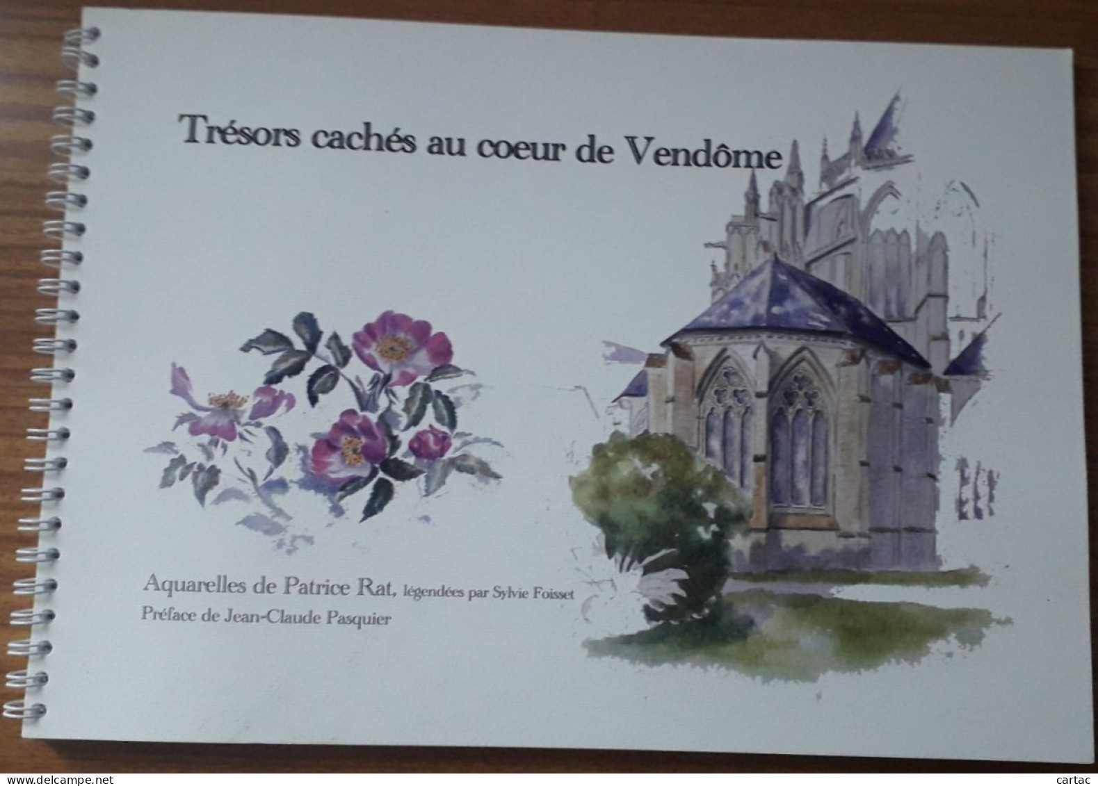 D41. VENDÔMOIS. TRESORS CACHES AU COEUR DE VENDÔME. AQUARELLES PATRICE RAT. 2011. - Centre - Val De Loire