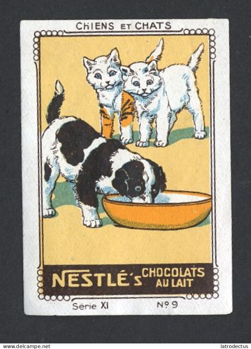 Nestlé (1920's) - XI - Chiens Et Chats, Dogs And Cats - 9 - Nestlé