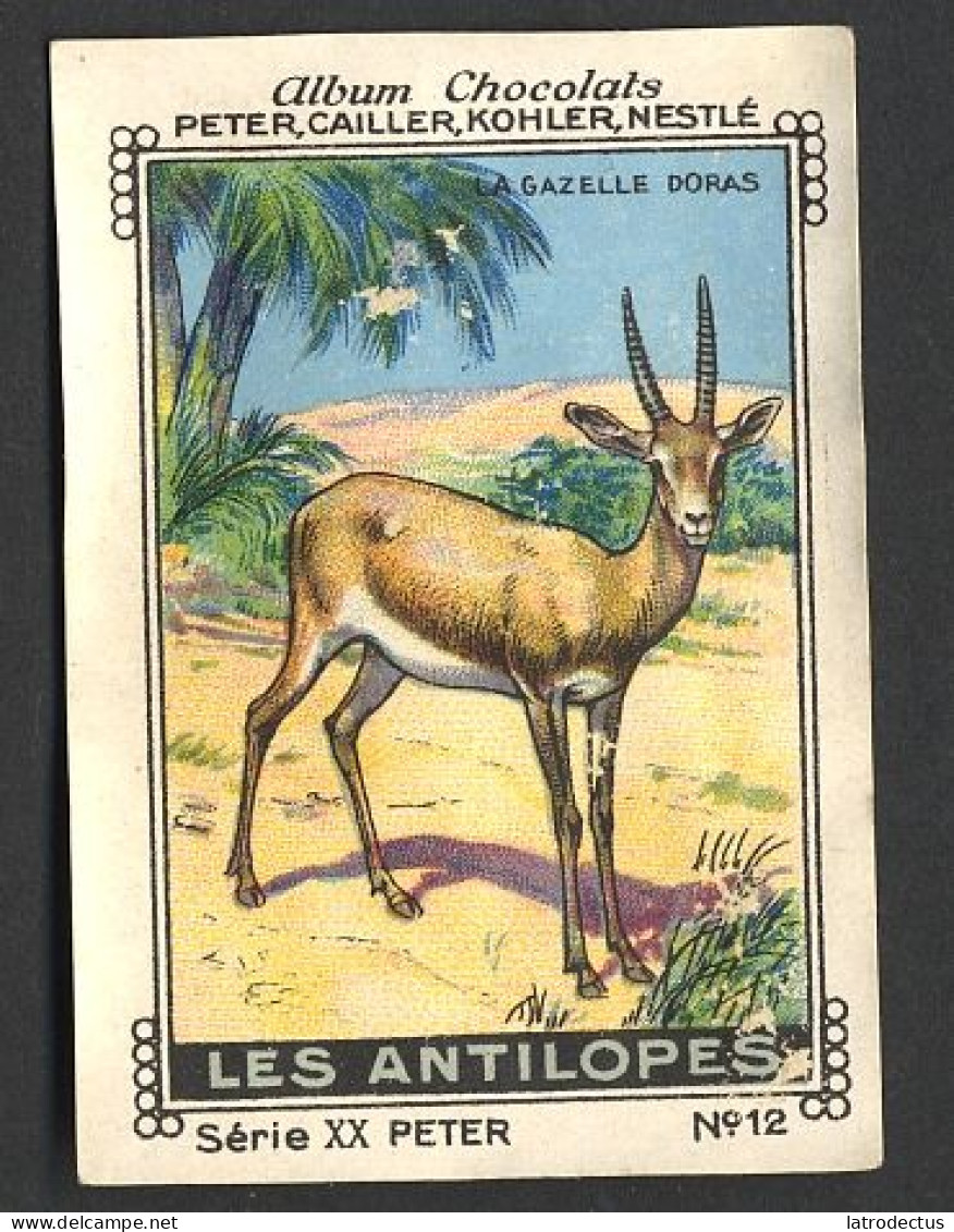 Peter (1920's) - XX - Les Antilopes, Antelopes - 12 - La Gazelle Doras - Nestlé