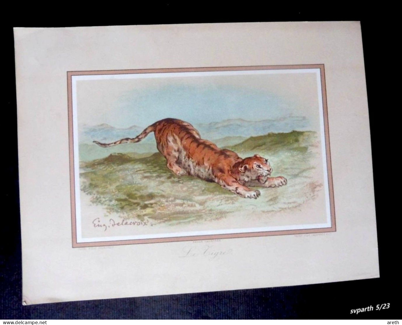 Le Tigre Eugéne Delacroix ~ Lithographie, Reproduction D'art Par F. Champenois (1842/1915) Pour La Revue Illustrée - Autres & Non Classés