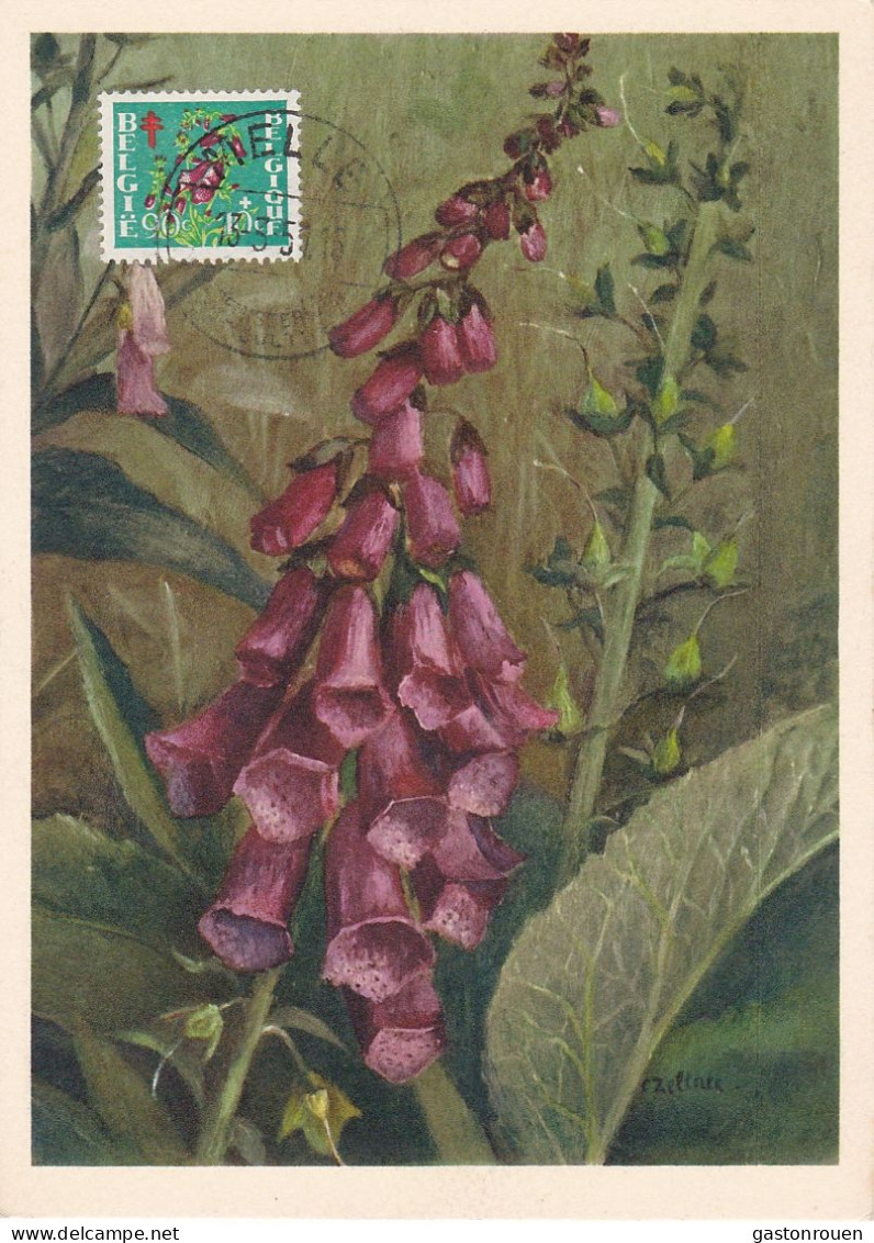 Carte Maximum Belgique 836 Œuvres Antituberculeuses Fleur Flower Digitale 1951 - 1934-1951