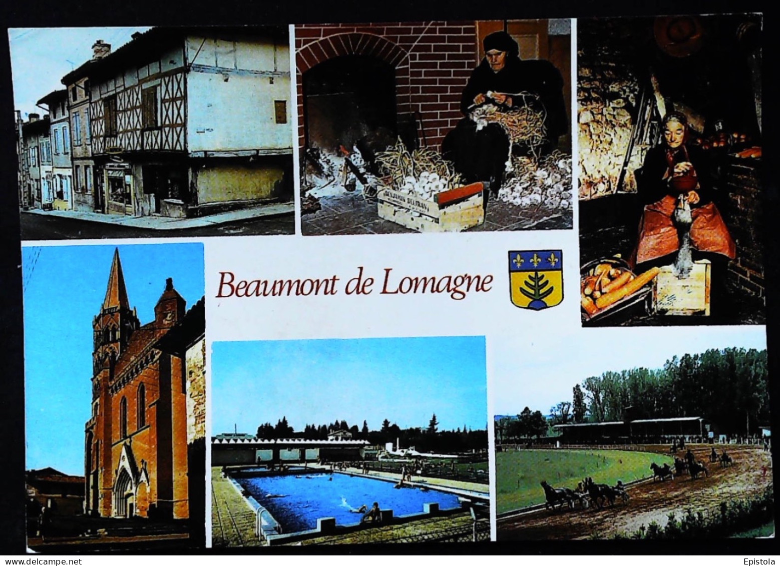 ►  BEAUMONT De LOMAGNE - Dégoussado Gaveuse D'Oie Piscine Hippodrome - Multi-vues 1987 - Beaumont De Lomagne