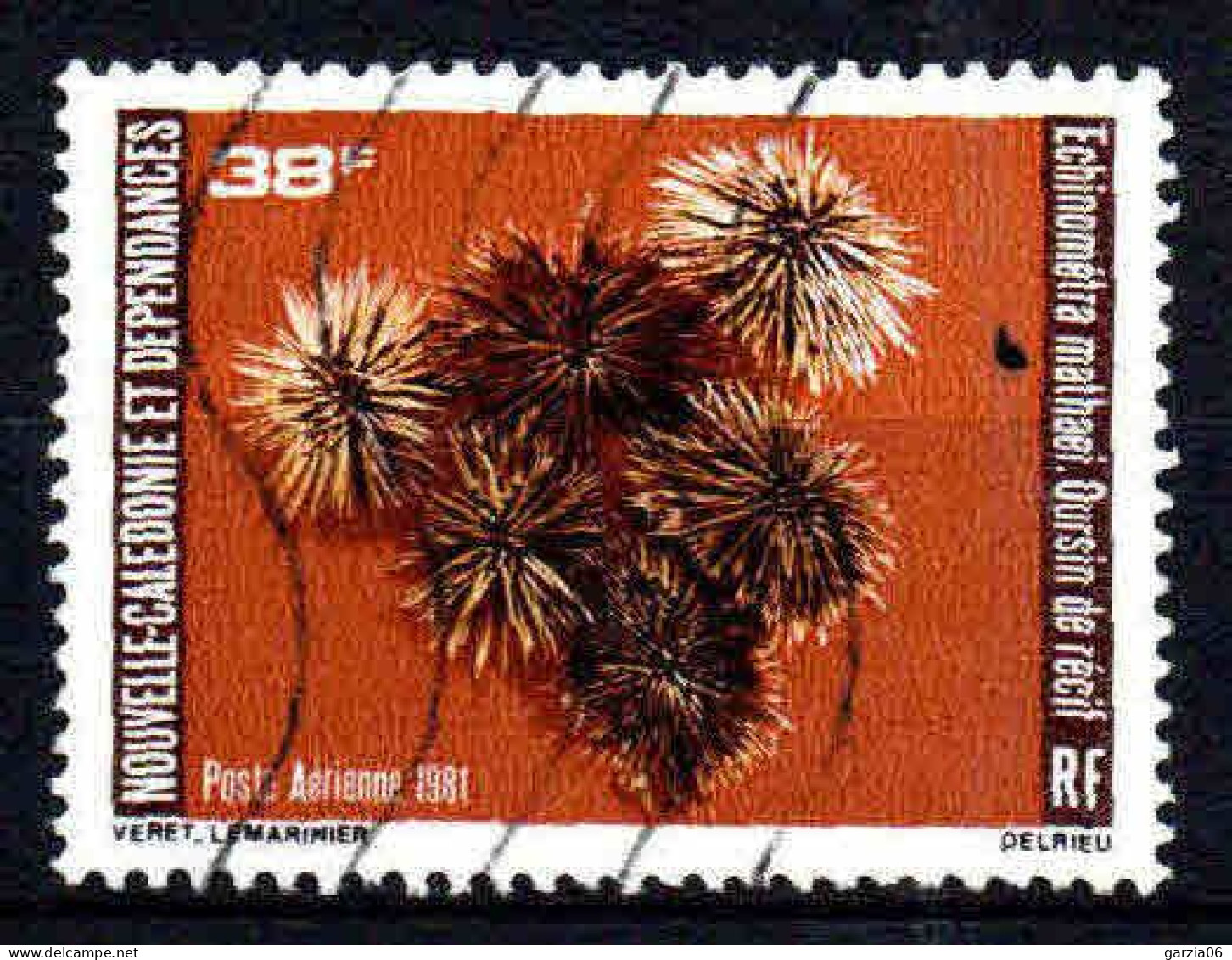 Nouvelle Calédonie  - 1981  -  Faune Pélagique   - PA 215  - Oblit - Used - Used Stamps