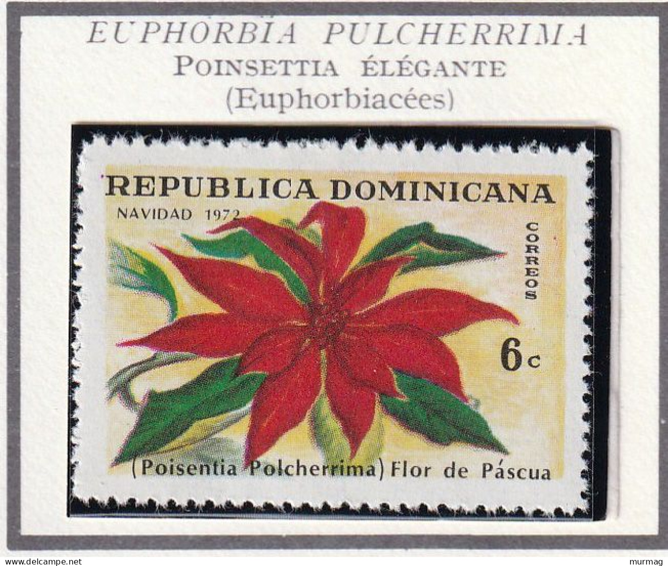 REPUBLIQUE DOMINICAINE - Fleur, Poinsettia élégante, Noël - 1973 - MNH - Dominican Republic