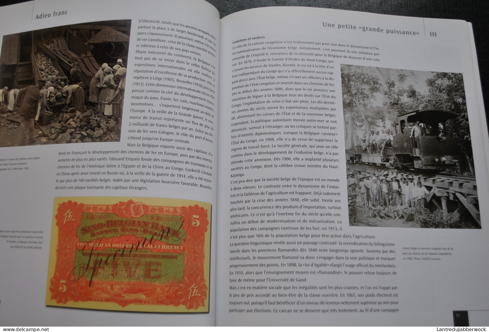 Adieu Franc La Belgique Et Sa Monnaie, Une Belle Histoire Numismatique Banque Nationale De BNB Billet Numismatiste - Libros & Software