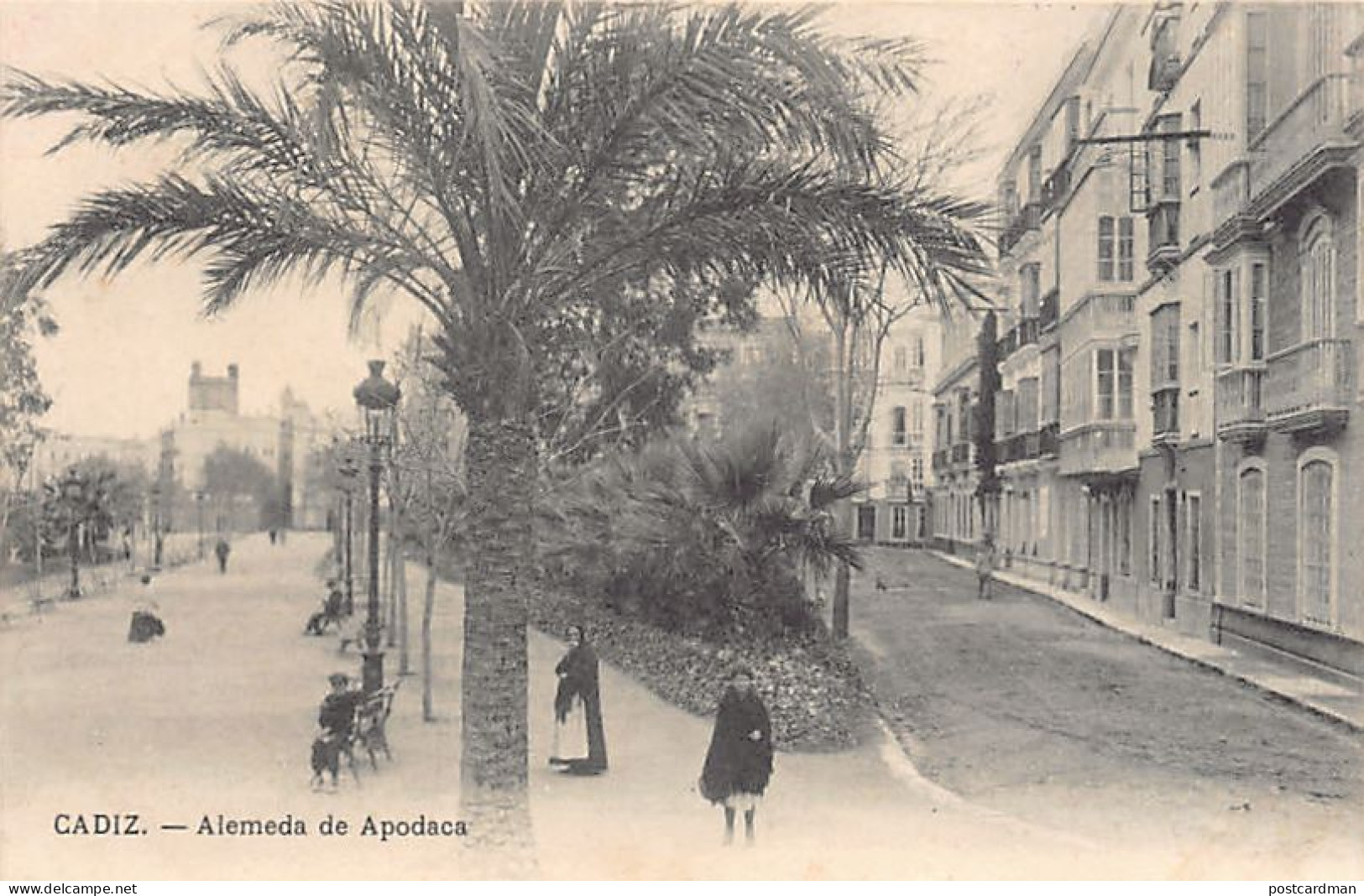 España - CÁDIZ - Alemeda De Podaca - Ed. E.J.G. - Cádiz