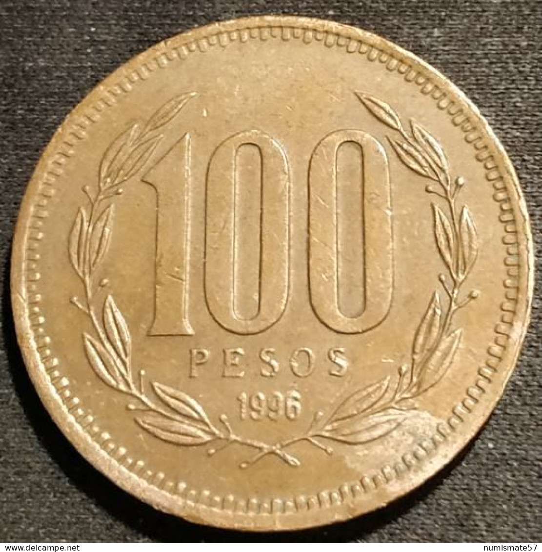 CHILI - CHILE - 100 PESOS 1996 - KM 226.2 - ( Date étroite ) - Chile