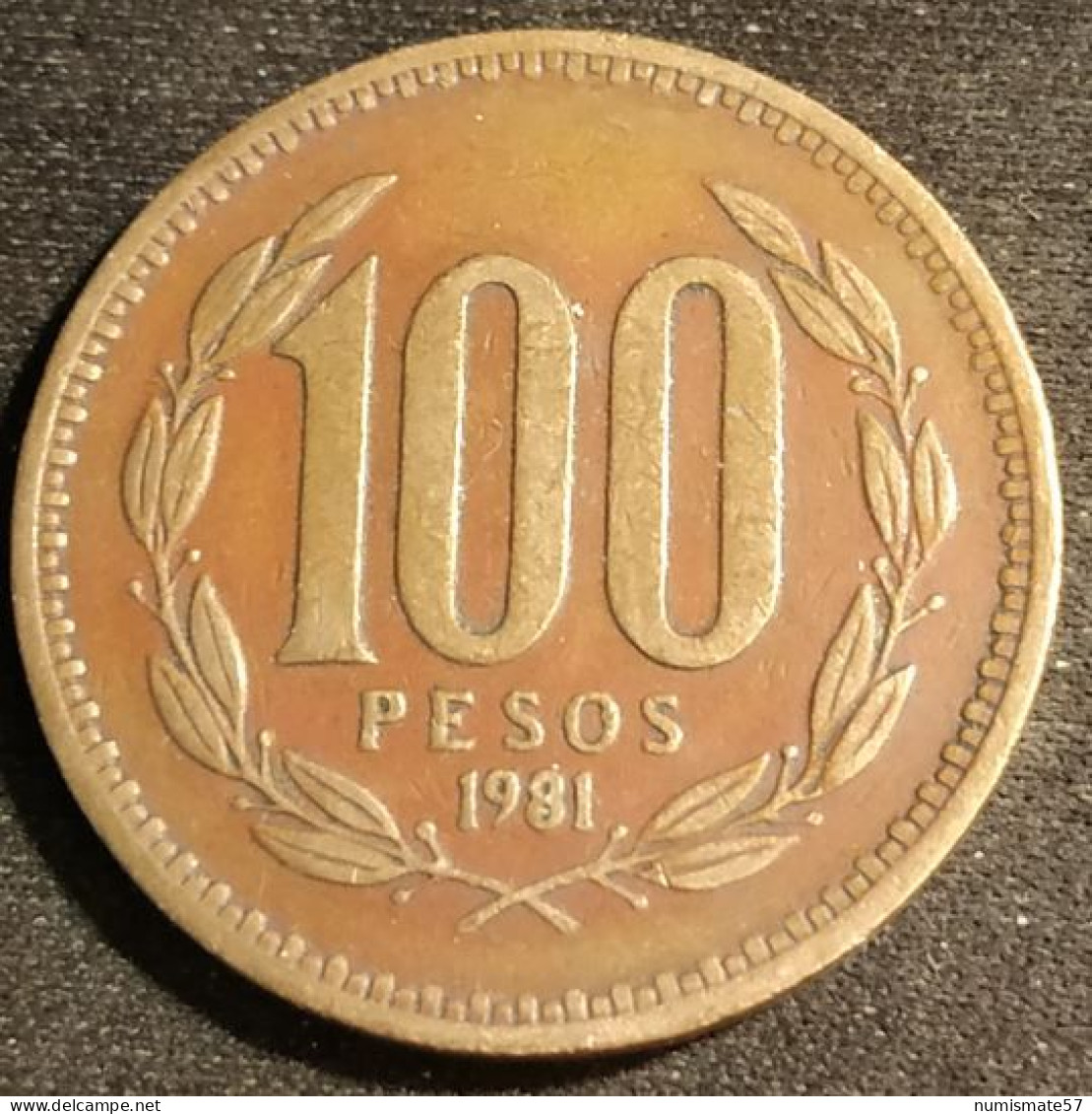 CHILI - CHILE - 100 PESOS 1981 - KM 226.1 ( Date Large ) - Cile