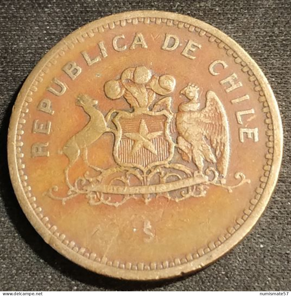 CHILI - CHILE - 100 PESOS 1981 - KM 226.1 ( Date Large ) - Cile
