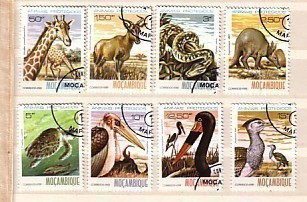 1981  FAUNA-ANIMALS   8 V.-used/oblitere (O)  MOZAMBIQUE - Mozambique