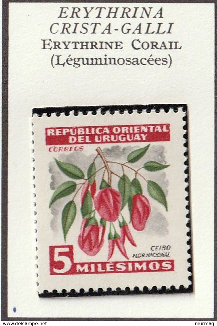 URUGUAY - Fleurs, Erythrine Corail, Passiflore Bleue - 1954 - MH Et Oblitéré - Uruguay