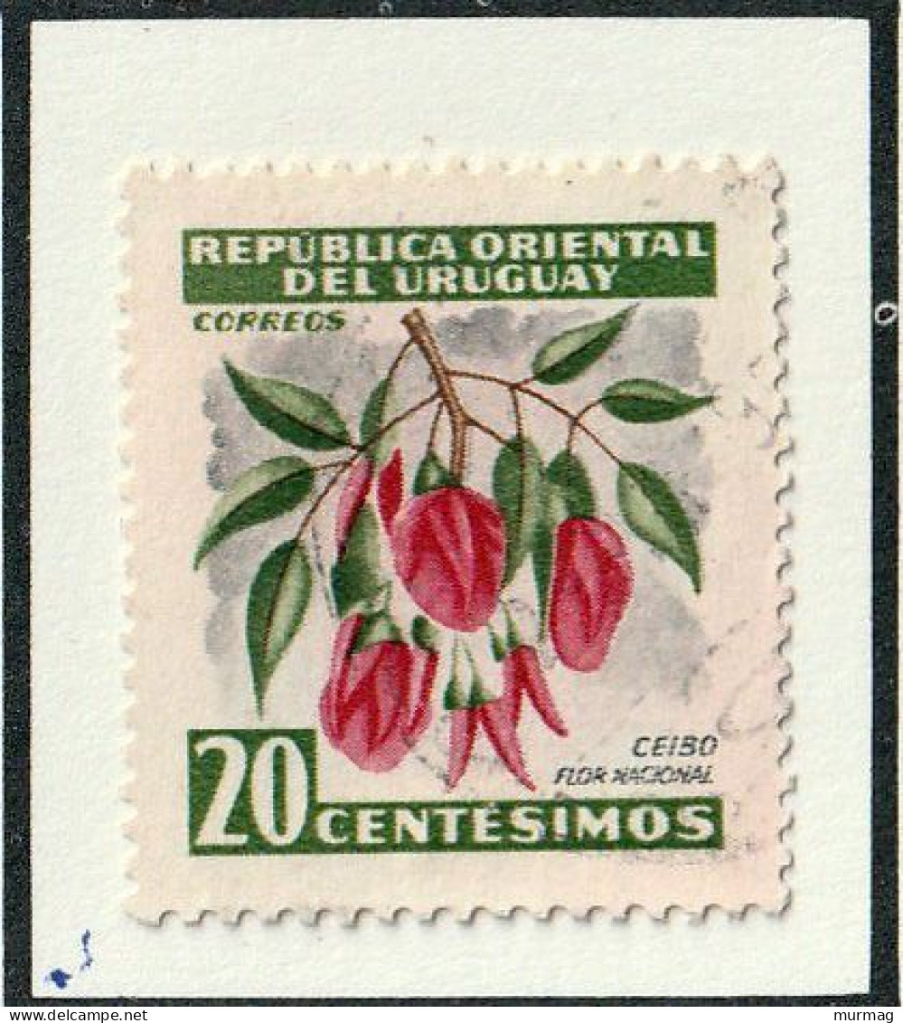 URUGUAY - Fleurs, Erythrine Corail, Passiflore Bleue - 1954 - MH Et Oblitéré - Uruguay