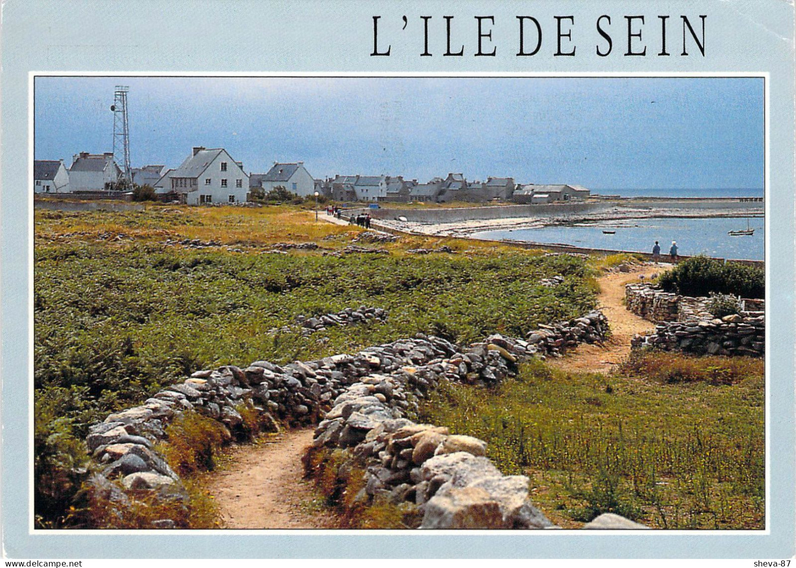 29 - L'Ile De Sein - Promenade Sur Les Sentiers - Ile De Sein