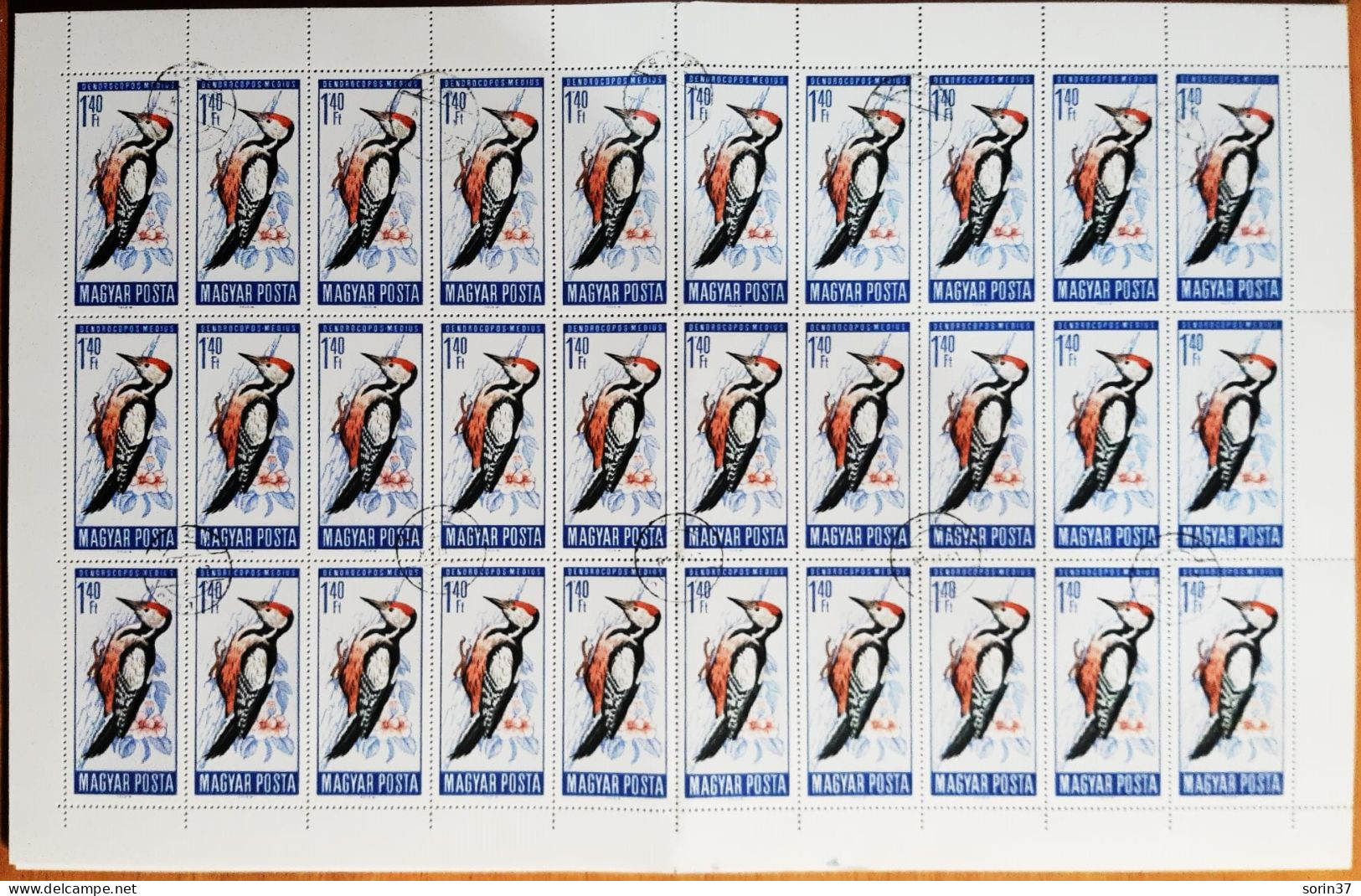 Hungria Pliego 50 Sellos Año 1966  Usado  Aves - Pajaro Carpintero - Used Stamps