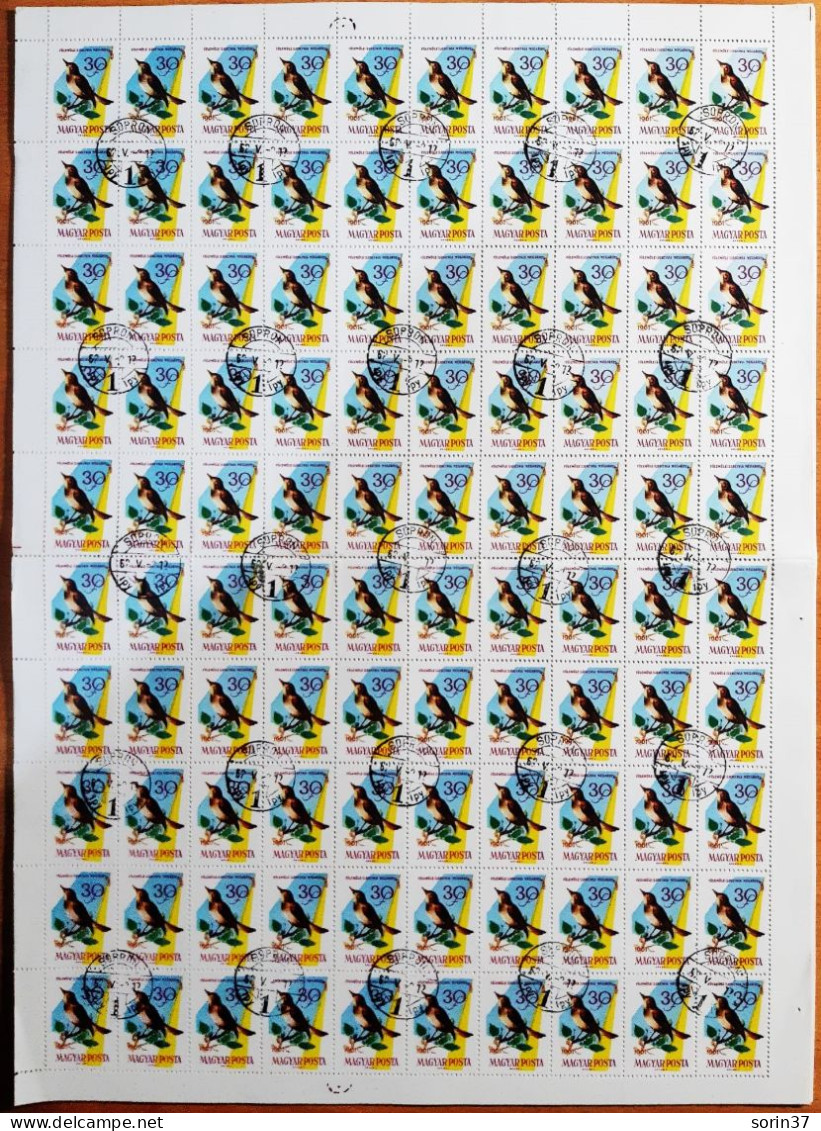 Hungria Pliego 100 Sellos Año 1961  Usado  Aves - Pajaros - Used Stamps