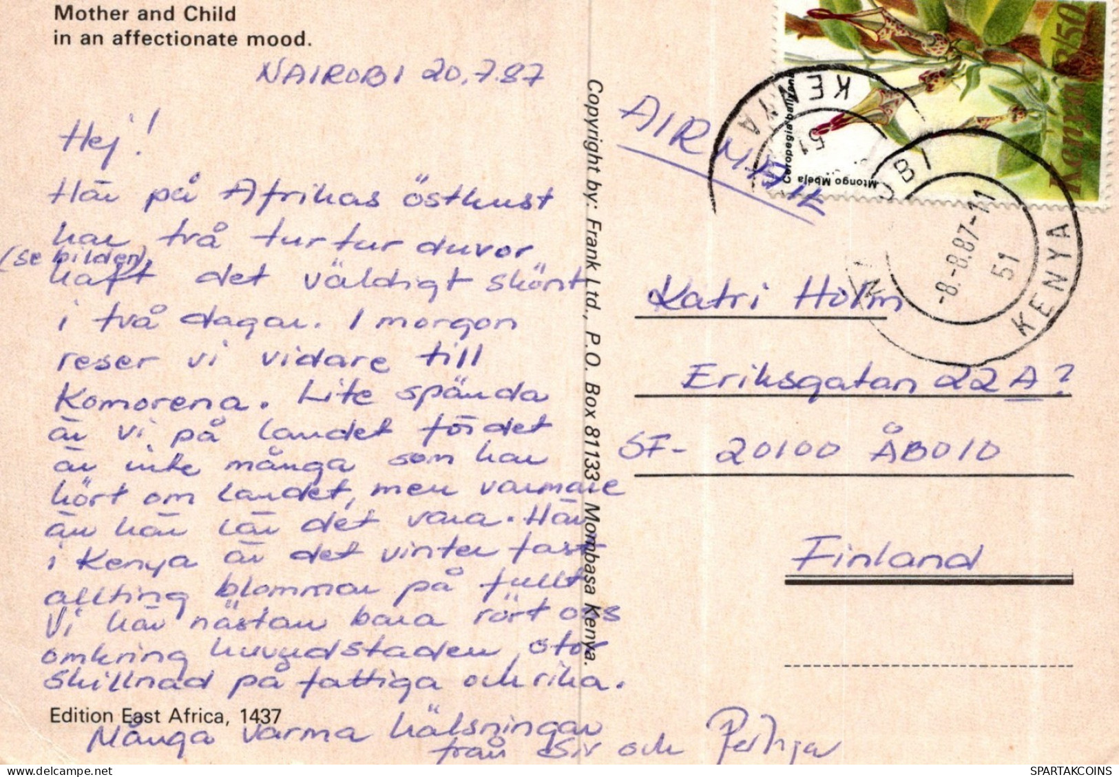 LEÓN GATO GRANDE Animales Vintage Tarjeta Postal CPSM #PAM005.ES - Leoni