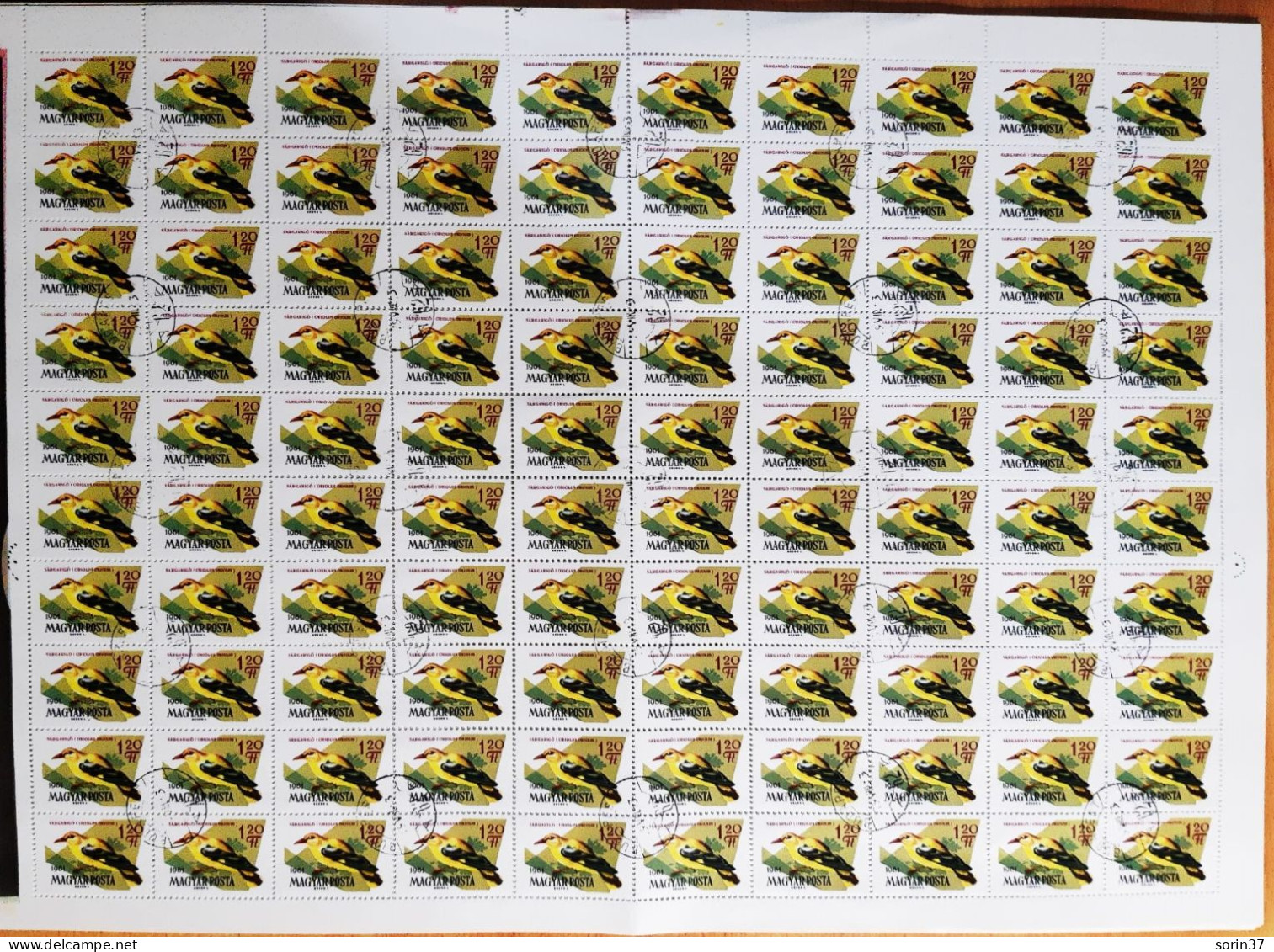 Hungria Pliego 100 Sellos Año 1961  Usado  Aves - Pajaros - Used Stamps