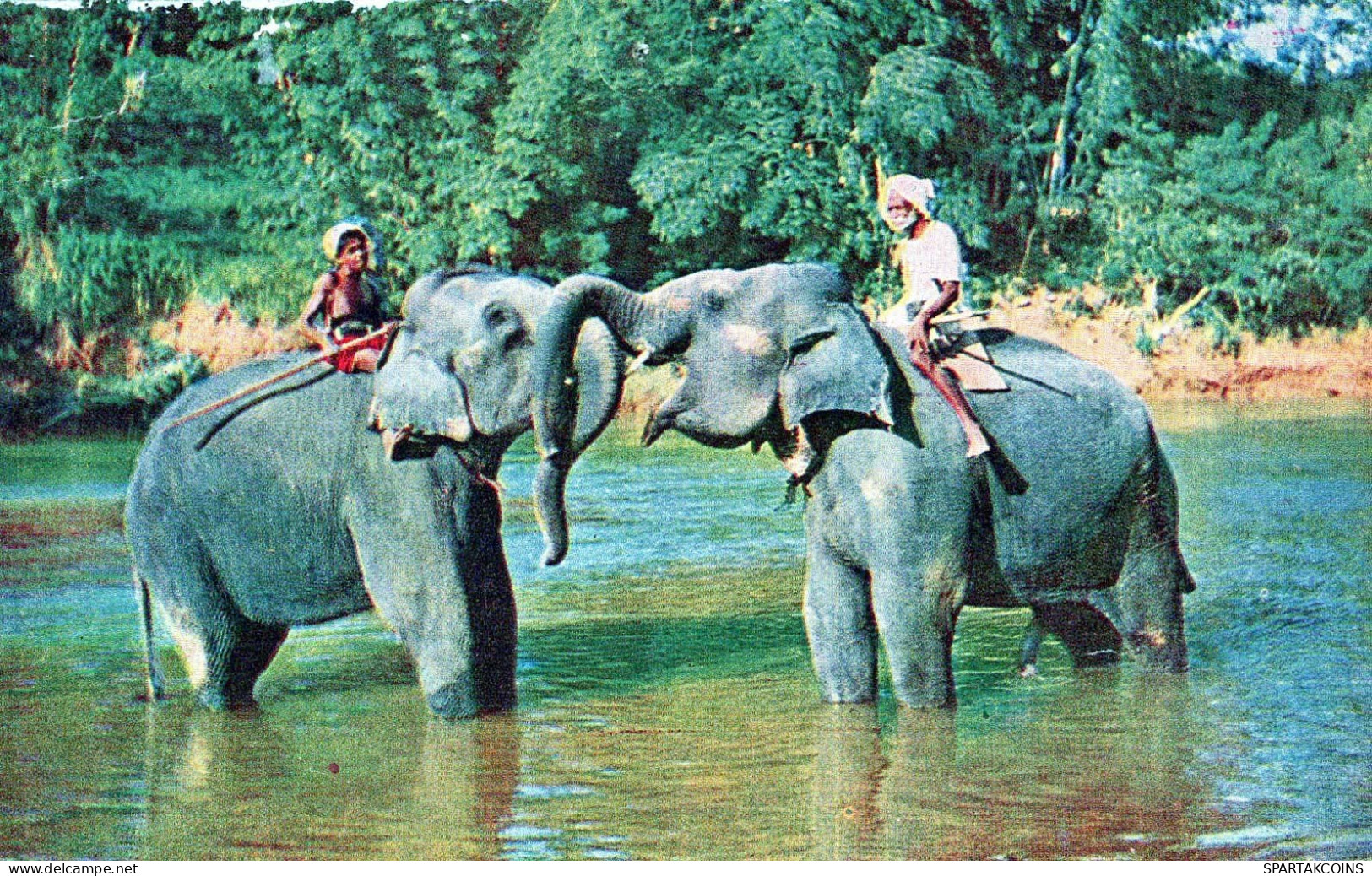 ELEFANTE Animale Vintage Cartolina CPA #PKE763.IT - Elefanti