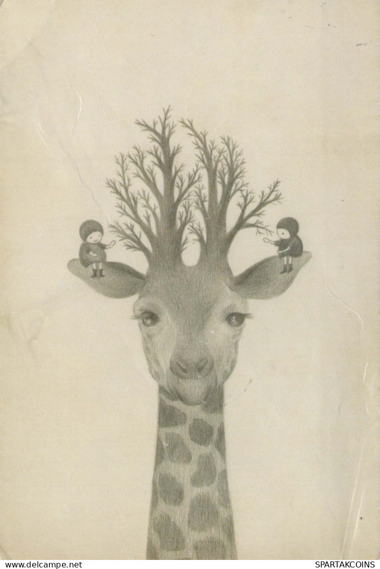 GIRAFFE Animale Vintage Cartolina CPSM #PBS958.IT - Giraffes