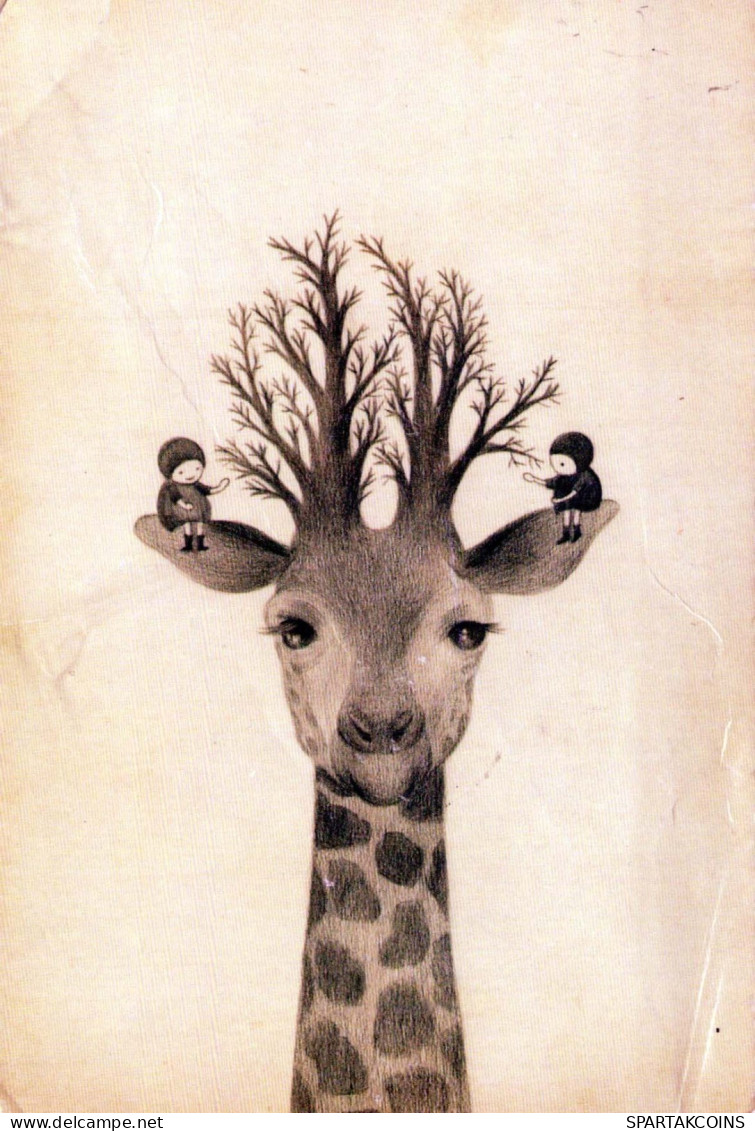 GIRAFFE Animale Vintage Cartolina CPSM #PBS958.IT - Giraffen