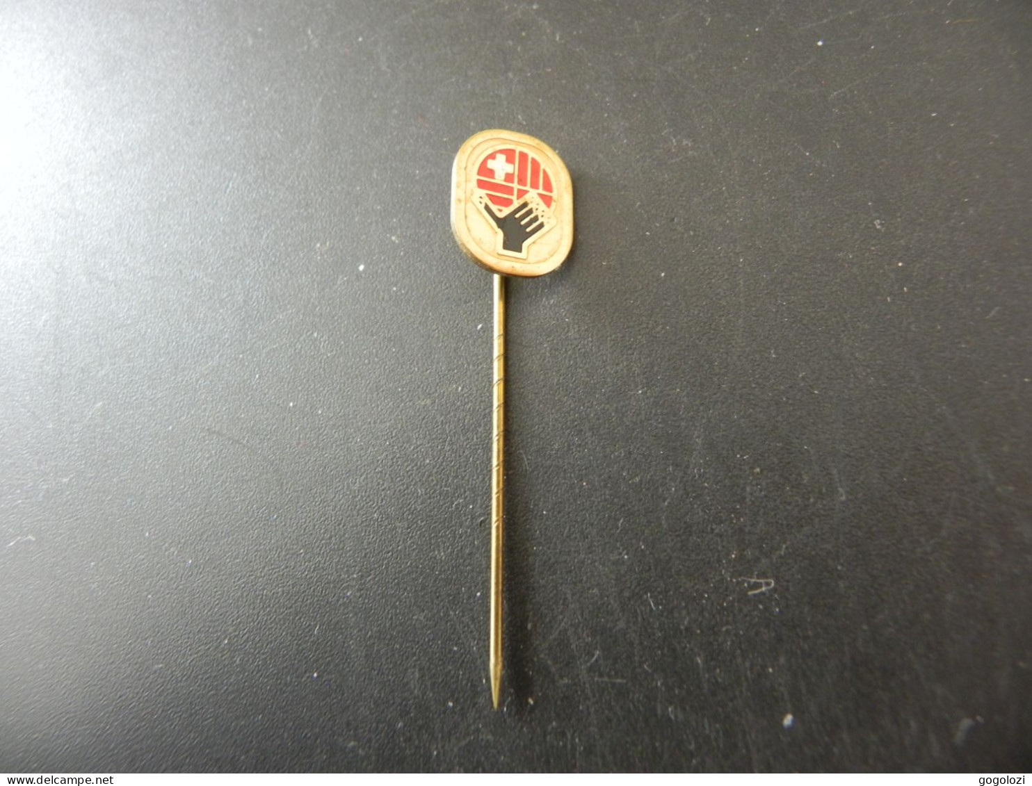 Old Pin Anstecknadel Suisse Svizzera Switzerland - Schweizer Handball Verband - Sin Clasificación