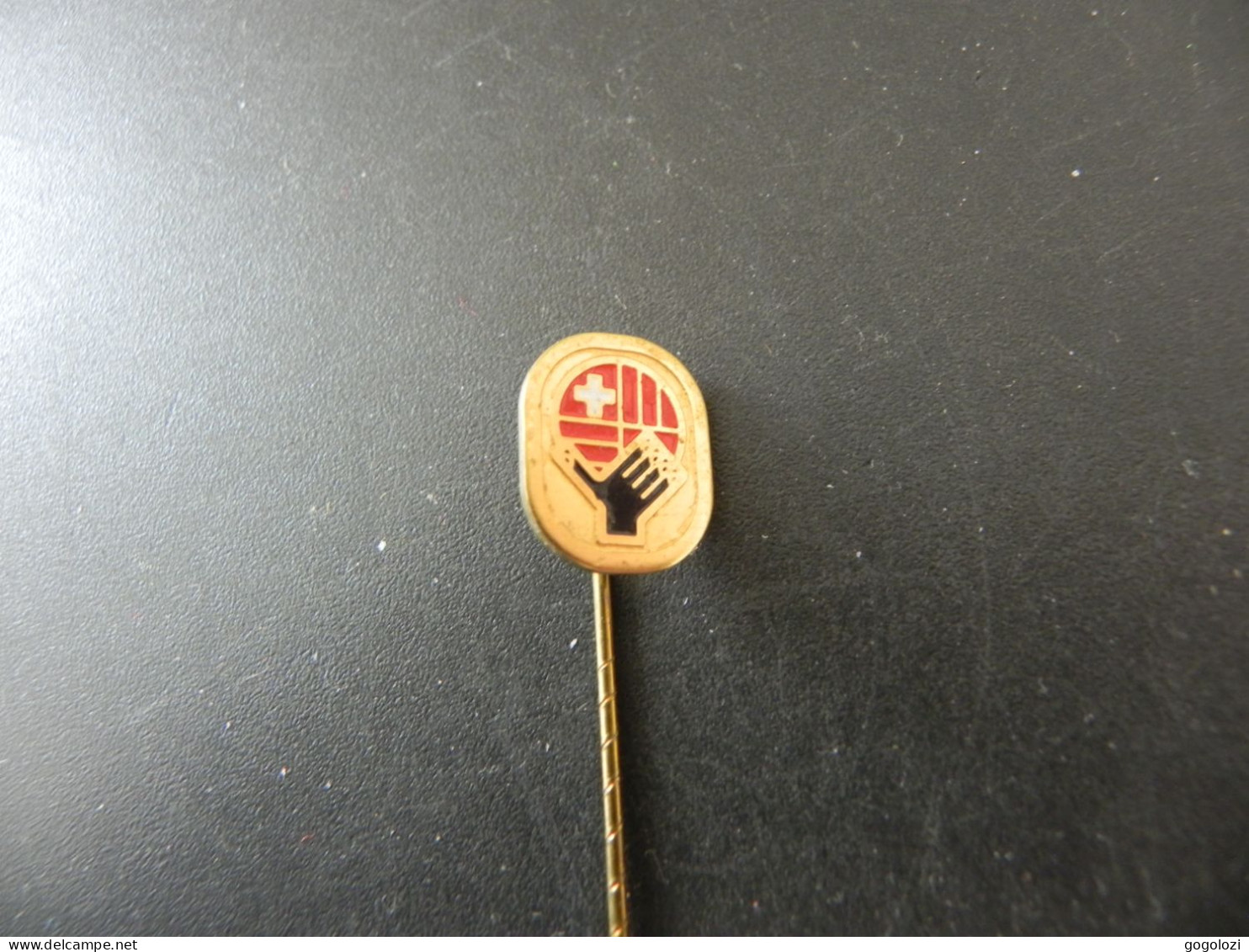 Old Pin Anstecknadel Suisse Svizzera Switzerland - Schweizer Handball Verband - Sin Clasificación