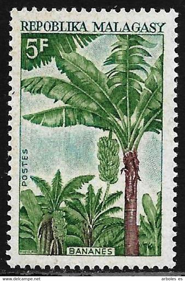 MADAGASCAR - FRUTOS - AÑO 1969 - CATALOGO YVERT Nº 0465 - NUEVOS - Madagaskar (1960-...)