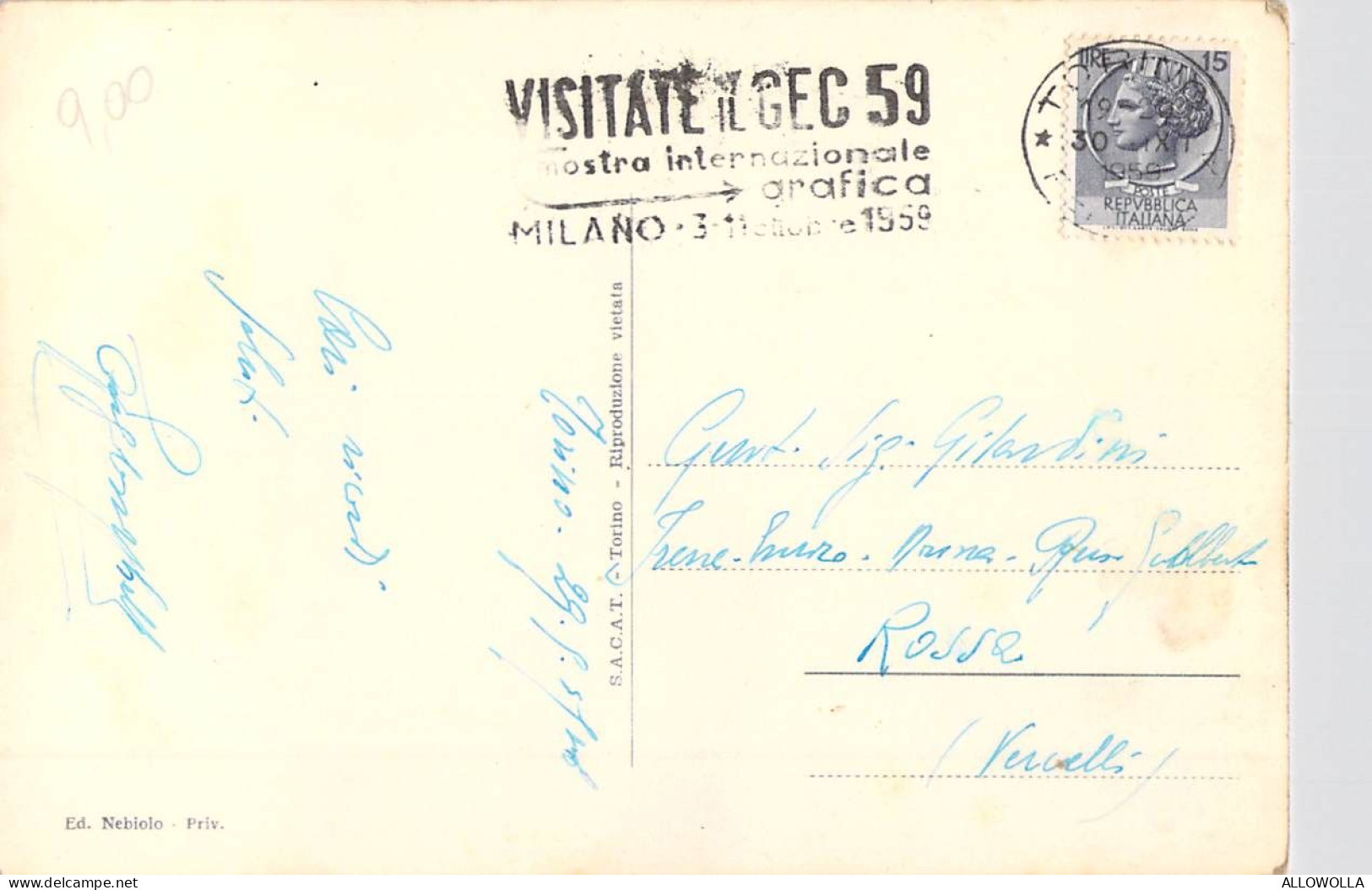 26651 " TORINO-LARGO C. GROSSETO " PECORE AL PASCOLO-VERA FOTO -CART. SPED.1959 - Places & Squares