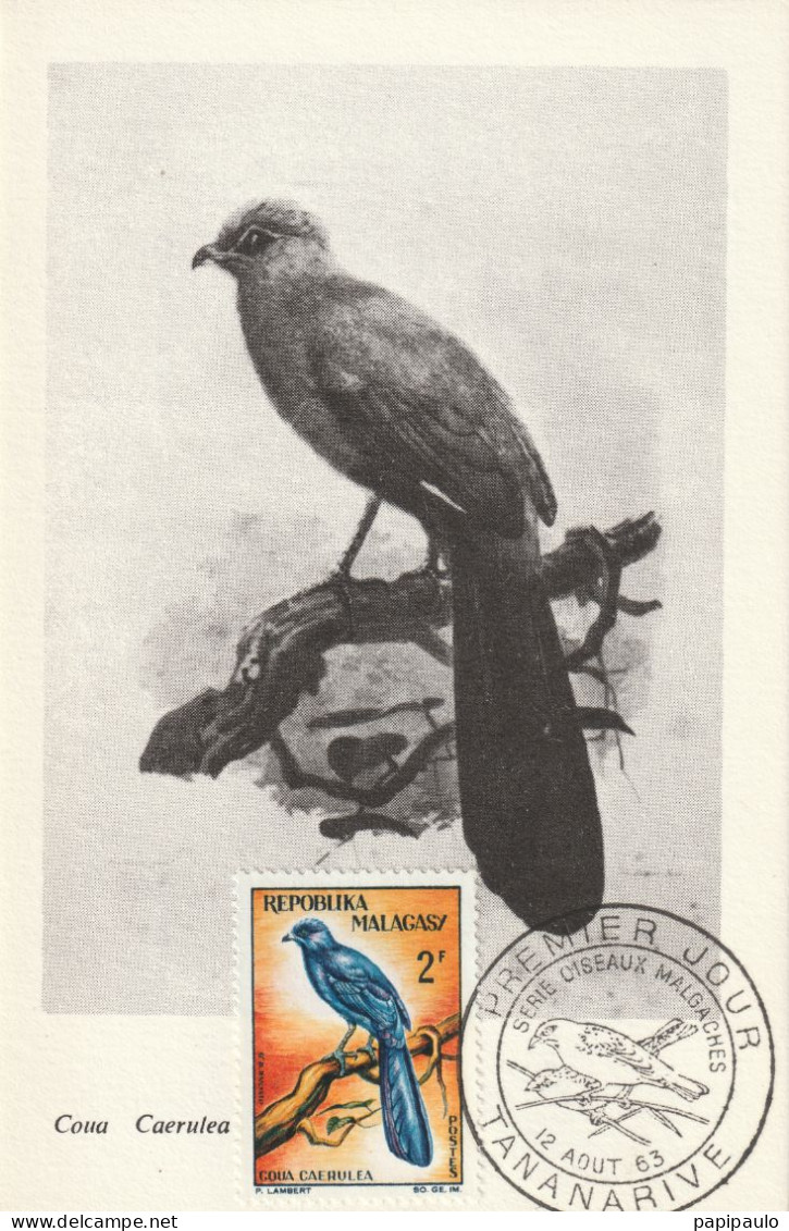 Série Oiseaux Malgaches 1er Jour 12 Août 1963 TANANARIVE Etat Exceptionnel - Sperlingsvögel & Singvögel