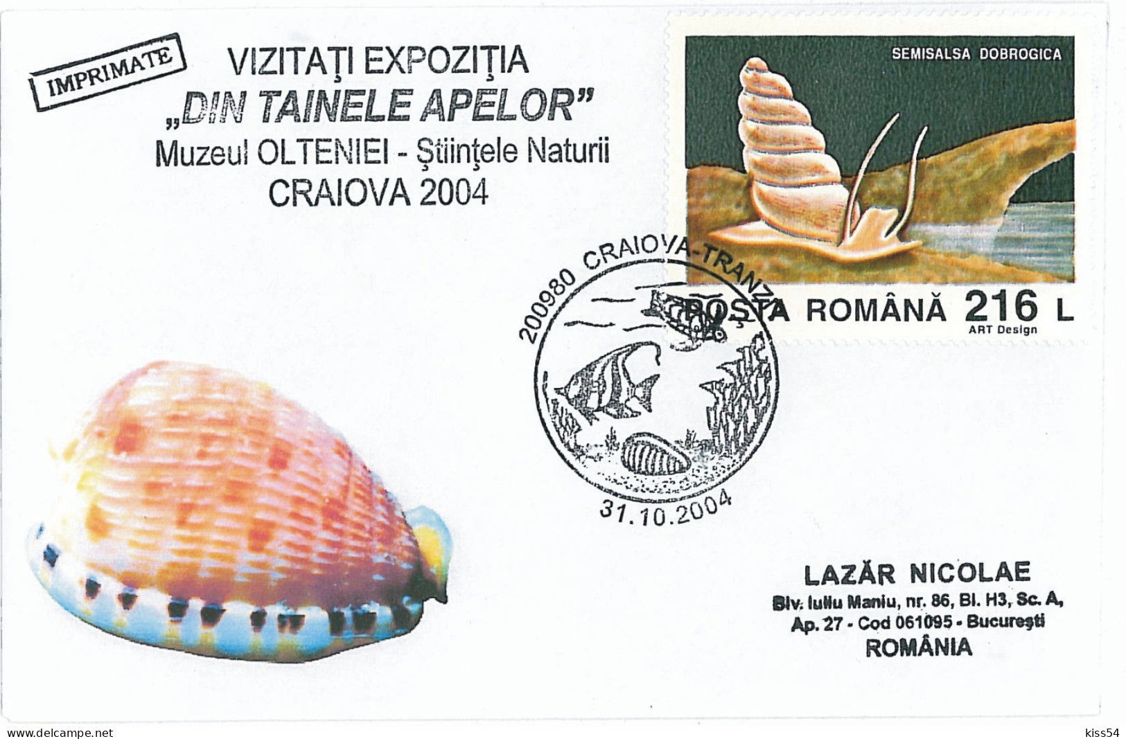 CV 89 - 144b Shells, Turtle, Craiova Museum Of Natural Sciences, Romania - Cover - Used - 2004 - Conchas