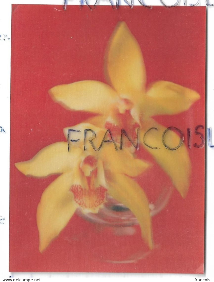 2 Orchidées Dans Un Vase. Cymbidium Sayonara - Cartes Stéréoscopiques