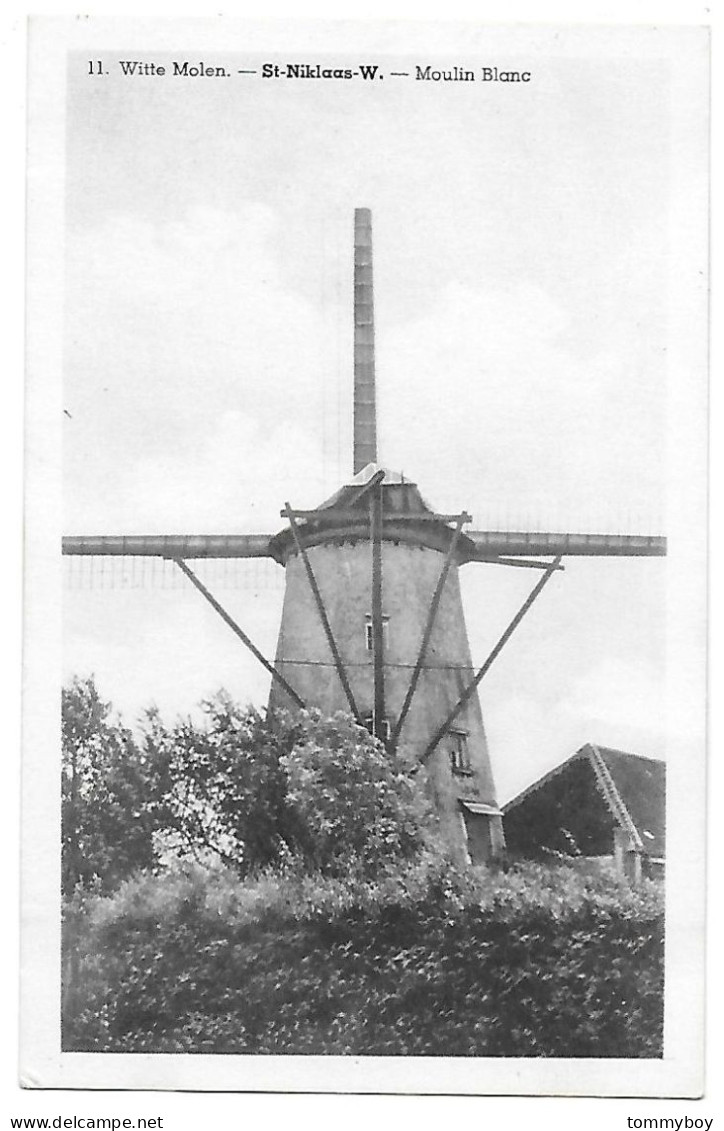 CPA St-Niklaas-W., Witte Molen - Sint-Niklaas