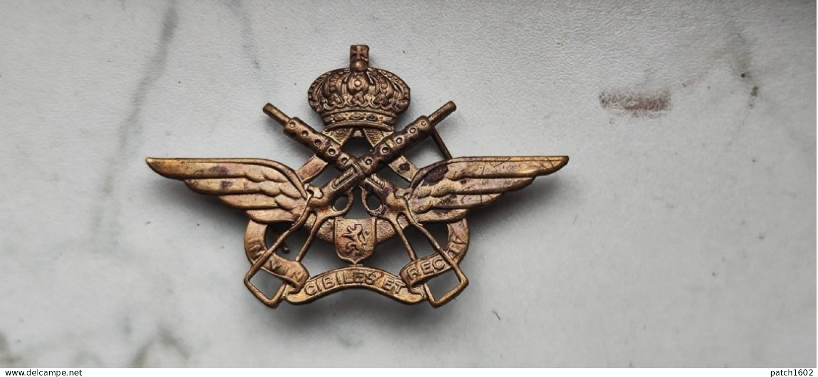 Insigne De Berêt Des Commandos Belge - Altri & Non Classificati