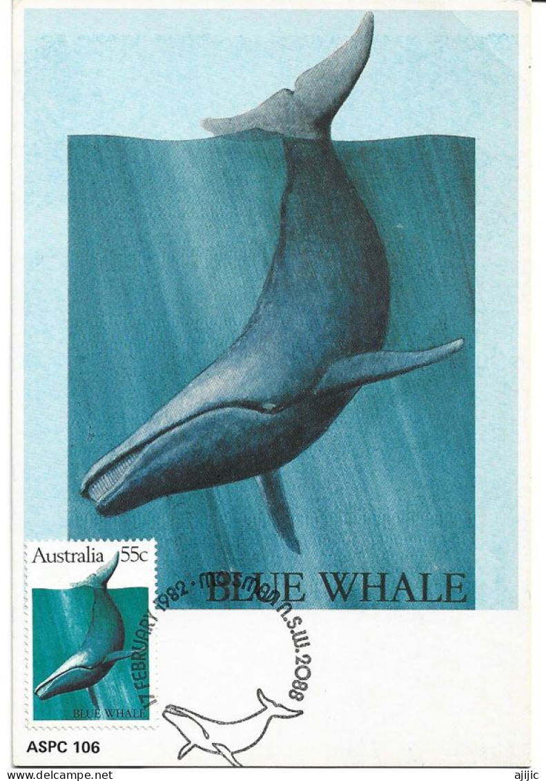 AUSTRALIE. Baleine Bleue. CARTE MAXIMUM  (Australian Whales) - Whales