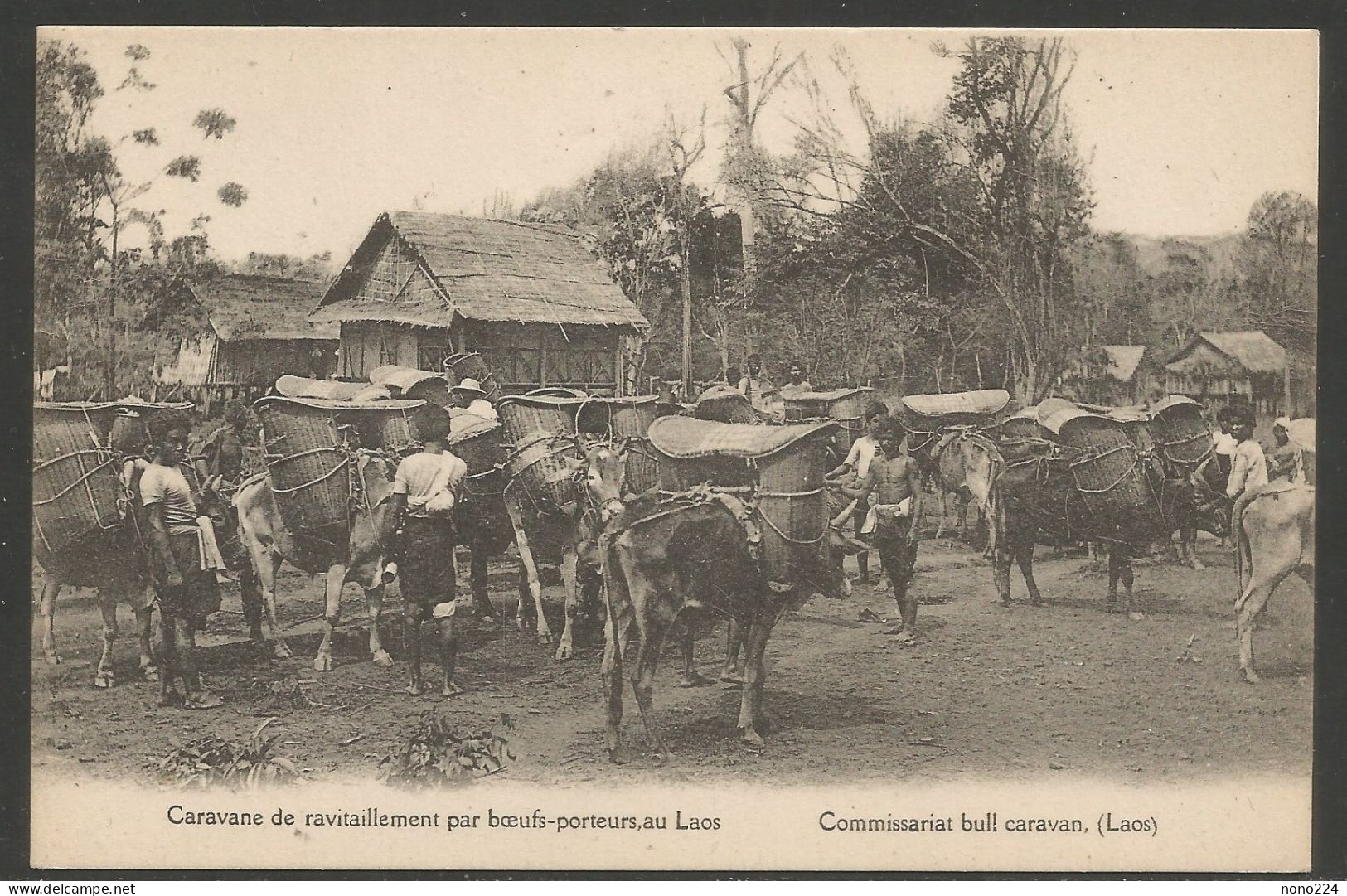 Carte P ( Laos / Caravane De Ravitaillement Par Boeufs-porteurs ) - Laos