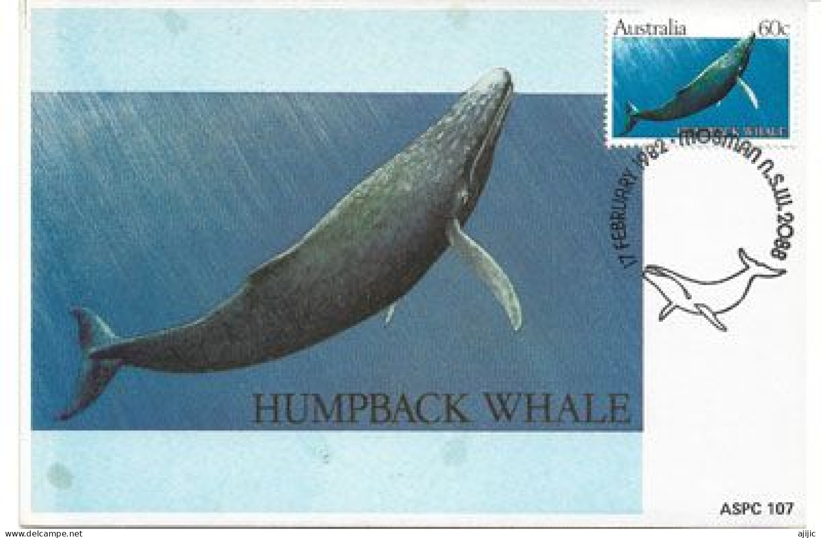 AUSTRALIE. Baleine à Bosse . CARTE MAXIMUM  (Australian Whales) - Wale