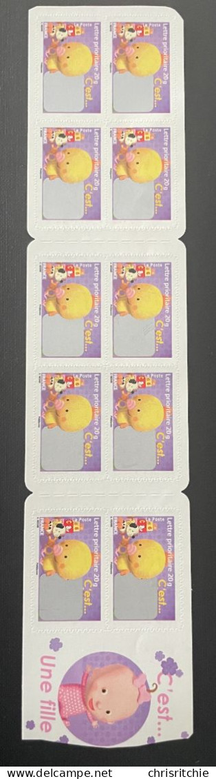 CARNET 10 TIMBRES VALIDITE PERMANENTE C EST UNE FILLE 2008 OBLITERE NON PLIE - BC 163 Ou BC 4184 - Commémoratifs