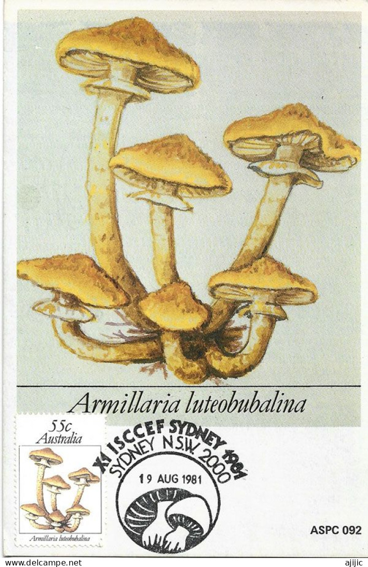 AUSTRALIE. Champignon Du Miel Australien.CARTE MAXIMUM Sydney - Pilze