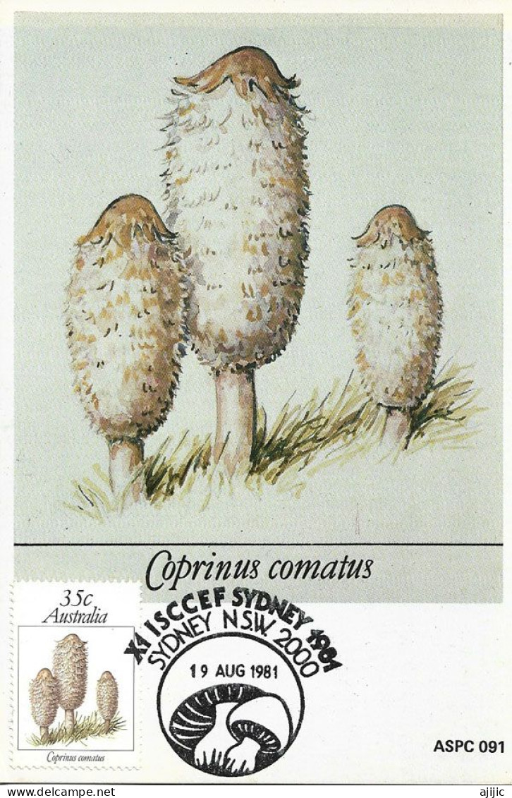 AUSTRALIE. Champignon Le Coprin Chevelu,  CARTE MAXIMUM Sydney - Pilze