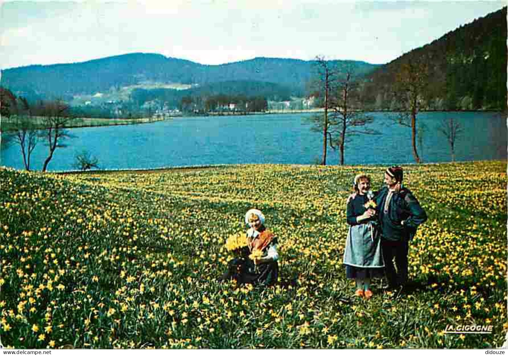 Folklore - Costumes - Vosges - Jeunes Gérémois Cueillant Des Jonquilles - CPM - Voir Scans Recto-Verso - Costumi