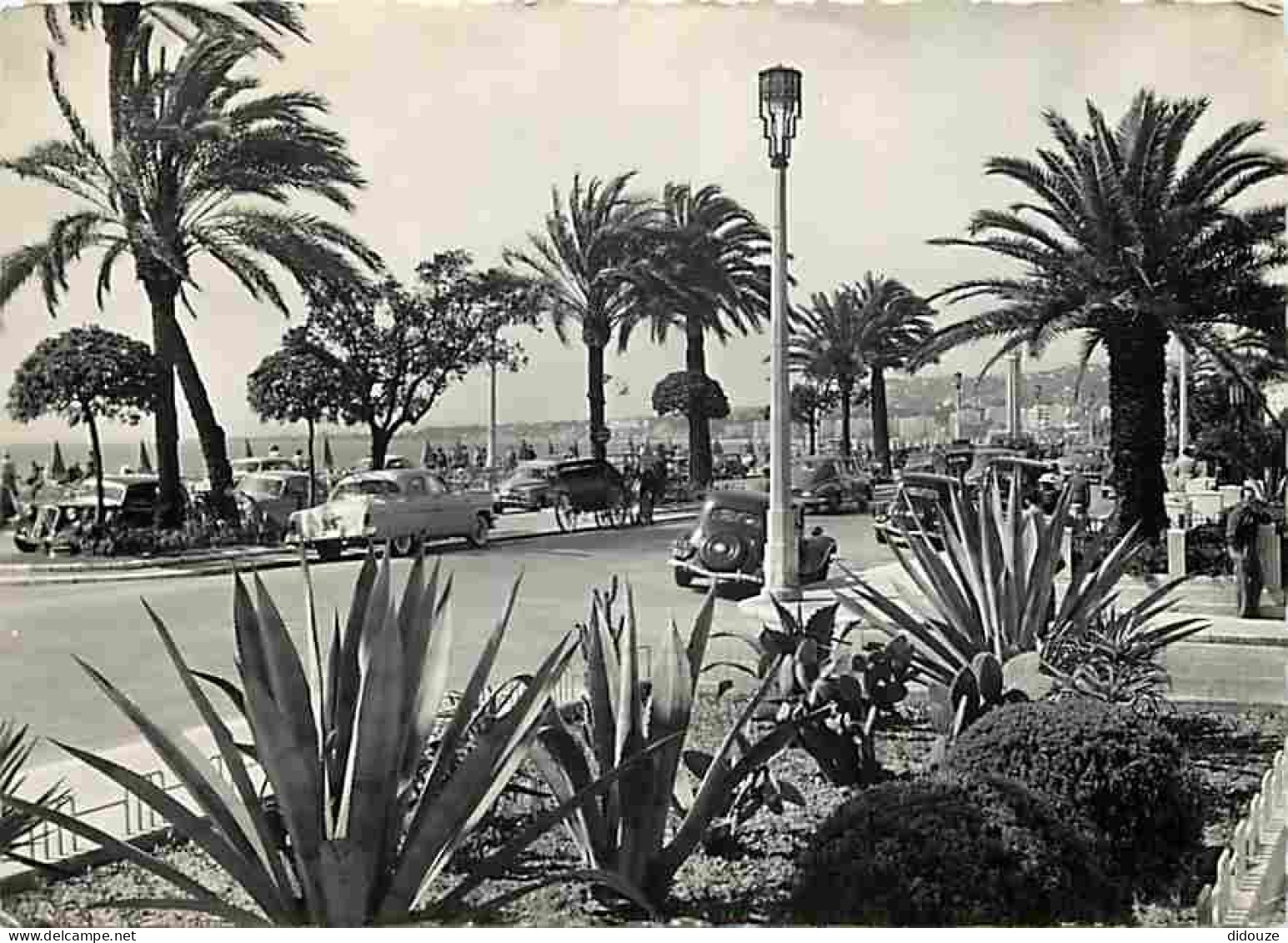 06 - Nice - Un Coin De La Promenade Des Anglais - Automobiles - CPM - Voir Scans Recto-Verso - Straßenverkehr - Auto, Bus, Tram