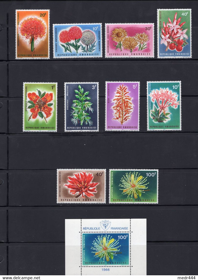 Rwanda/République Rwandaise 1966 - Flora - Flowers From Rwanda -  Stamps 10v + Minisheet - MNH**- Excellent Quality - Nuovi