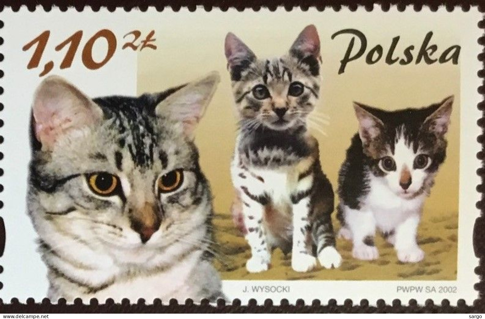 POLAND - 2002 - FAUNA - ANIMALS -  CAT - CATS - GATTI - 1 V - MNH - - Chats Domestiques