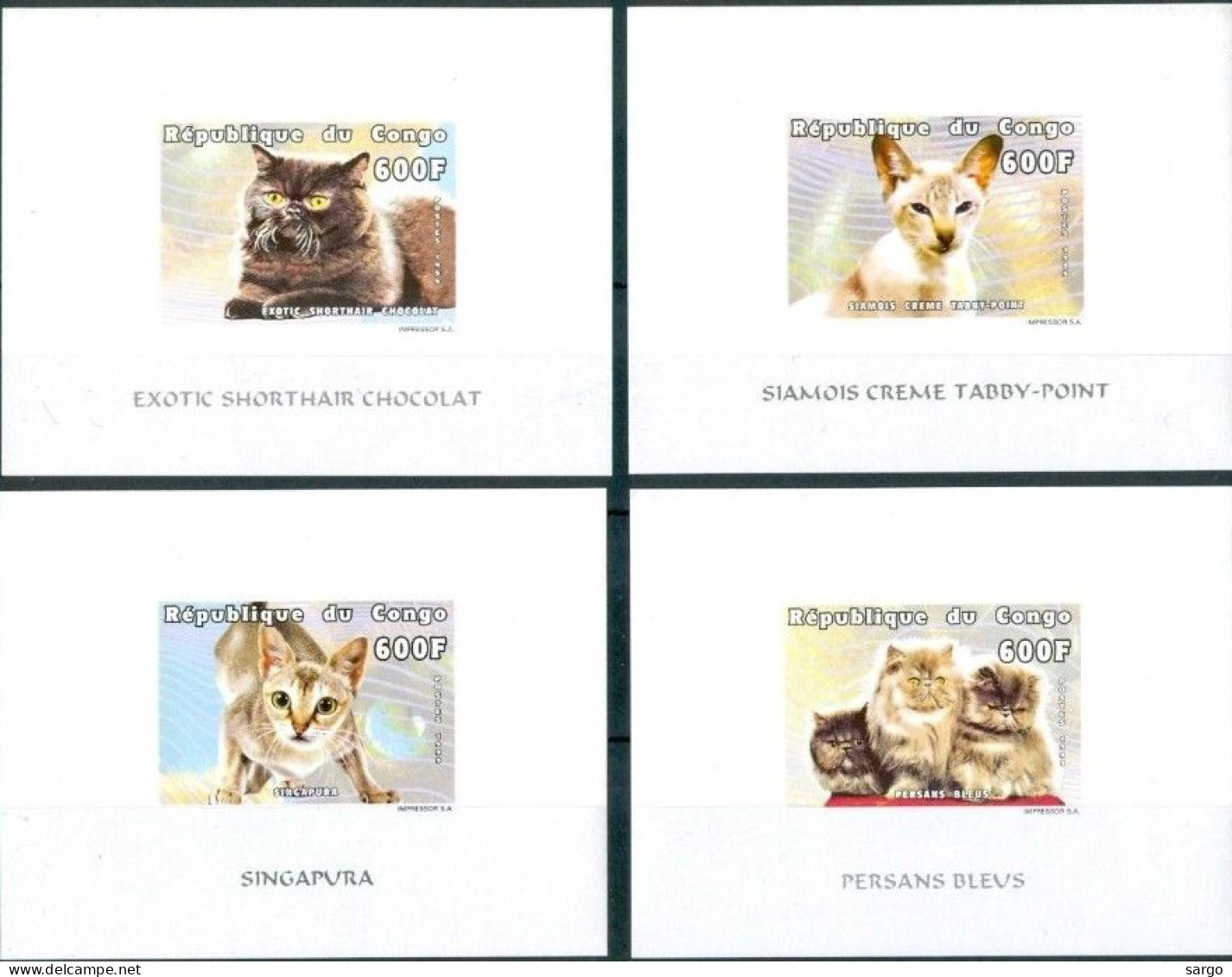 CONGO - 1999 - FAUNA - ANIMALS -  CAT - CATS - GATTI - 4 V - MNH - - Hauskatzen