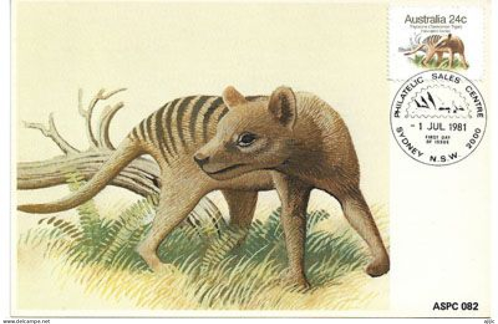 AUSTRALIE. Faune Australienne. Le Tigre De Tasmanie (En Danger Critique D'extinction). CARTE MAXIMUM SYDNEY - Felinos