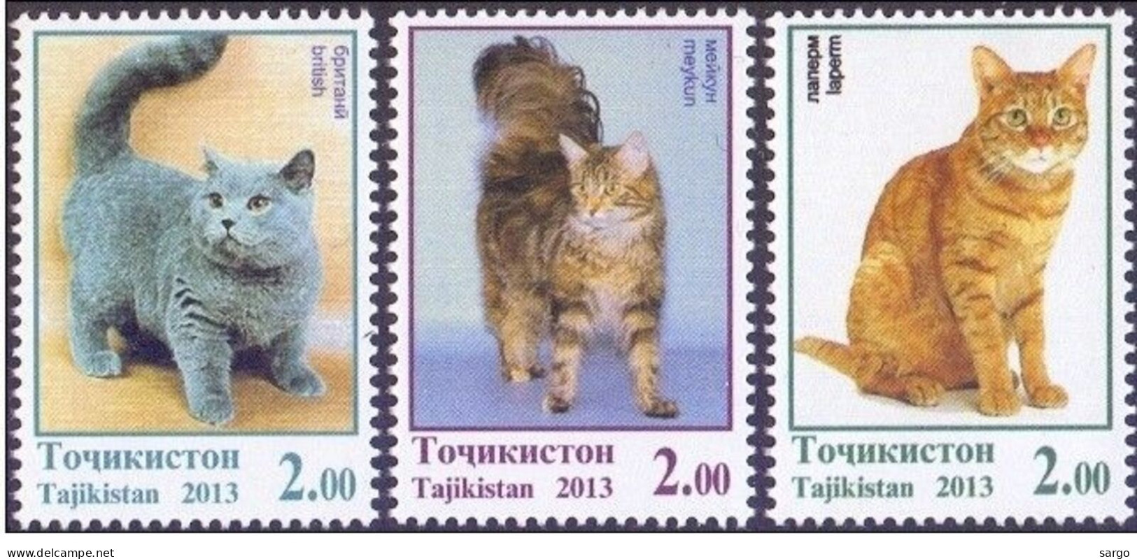 TAJIKISTAN - 2013 - FAUNA - ANIMALS -  CAT - CATS - GATTI - 3 V - MNH - - Chats Domestiques