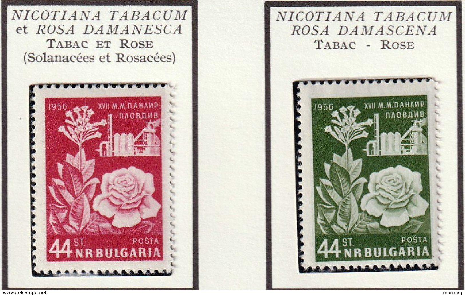 BULGARIE - Tabac Et Rose - 1956-57 - MNH - Nuevos